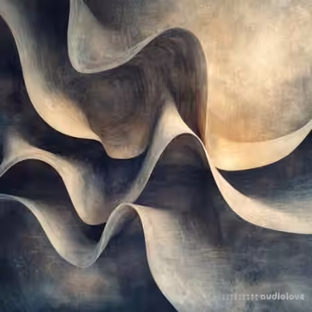 Imaginando FRMS Bellows And Bones [Synth Presets]