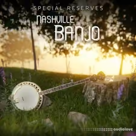 Impact Soundworks Special Reserves Nashville Banjo [KONTAKT]