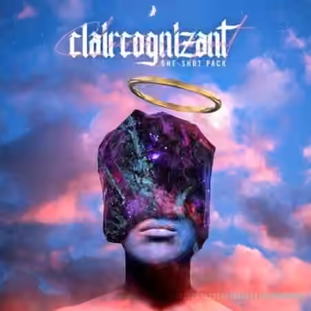 Industry Kits Claircognizant One-Shot Pack [WAV]
