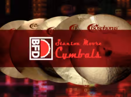 inMusic Brands BFD Stanton Moore Cymbals [BFD3]
