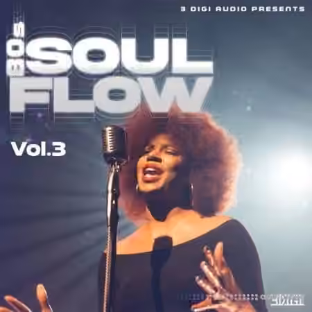 Innovative Samples 80's Soul Flow Vol.3 [WAV]