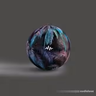 Internet Money KC Supreme Bloom (Drum Kit) [WAV]