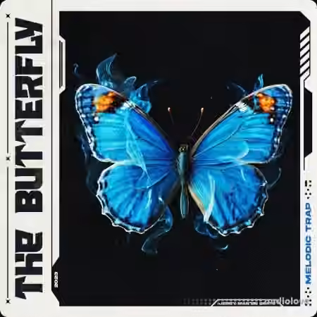 Jerry Martin Beats Butterfly [WAV, MiDi]