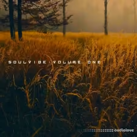 KAN Samples Soulvibe Vol.1 [WAV]
