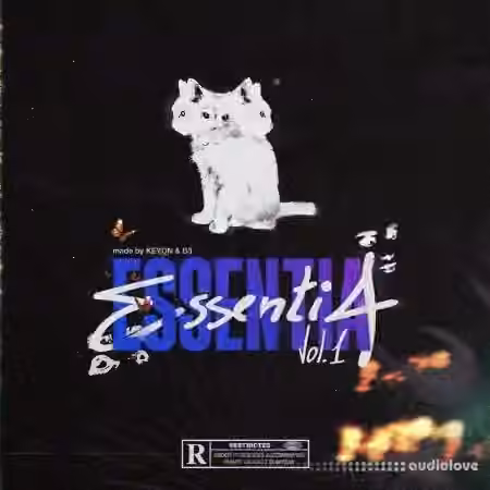 Keyon Essentia (Accents & Phrases) [WAV]