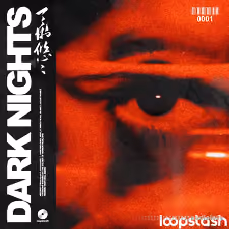 KXVI Dark Nights Vol.1 [WAV, MiDi, Synth Presets]