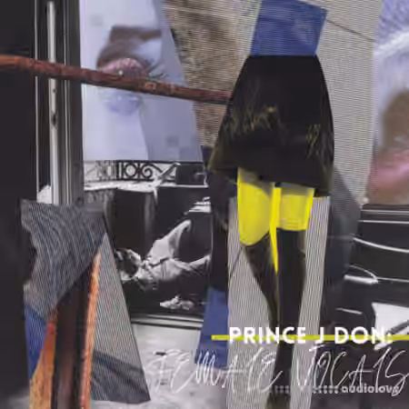 Lazerdisk Prince J Don Presents Ladies First Female Vocals [WAV]