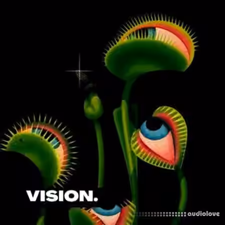 Lazerdisk Vision [WAV]