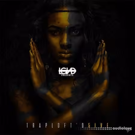 LGND Media TrapLoftD 5 [WAV, AiFF]