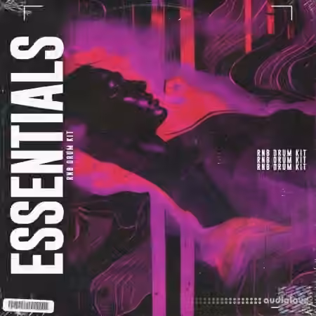 LifeStyleDidIt Rnb Essentials Drum Kit [WAV]