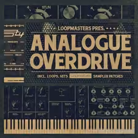 Loopmasters Analogue Overdrive [MULTiFORMAT]