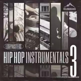 Loopmasters Hip Hop Instrumentals Vol.3 [MULTiFORMAT]