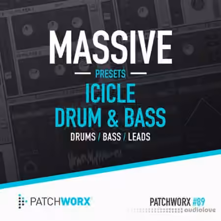 Loopmasters Patchworx 89 Icicle Drum and Bass Massive Presets [WAV, MiDi, Synth Presets]