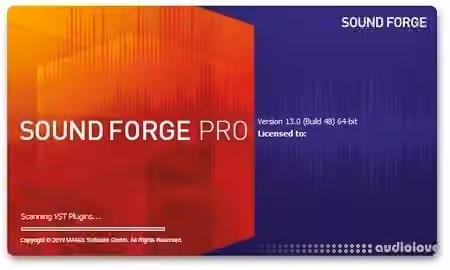 MAGIX SOUND FORGE Pro Portable v13.0.0.131 (x64) [WiN]