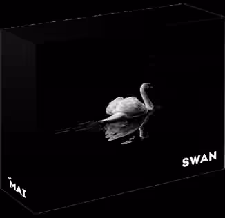Mai Swan Loop Kit [WAV]