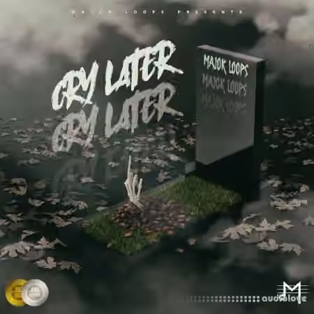 Major Loops Cry Later [WAV]
