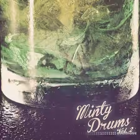 Minty Drums and Percussion Vol.2 [WAV]