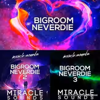 Miracle Sounds Bigroom Neverdie Bundle [WAV, MiDi, Synth Presets]