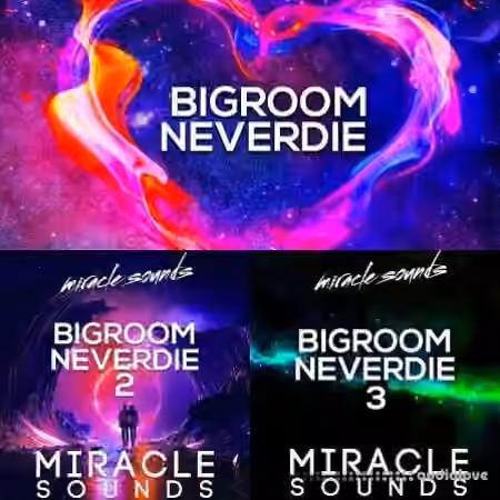 Miracle Sounds Bigroom Neverdie Bundle [WAV, MiDi, Synth Presets]