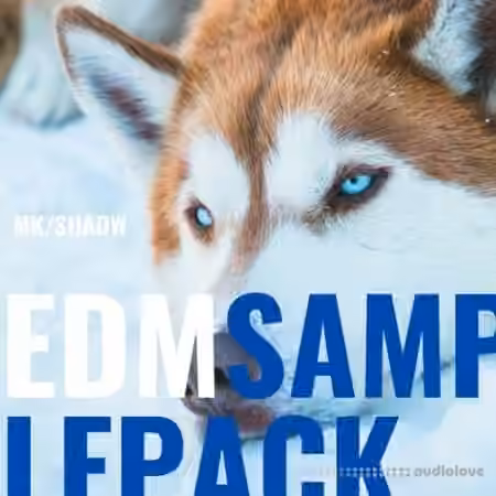 MKShadw EDM Sample Pack [WAV]