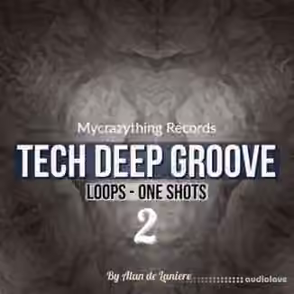 Mycrazything Records Tech Deep Groove 2 [WAV]