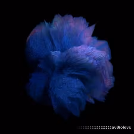 NAT08 Neural Plane (Multi Kit) [WAV, MiDi, Synth Presets]