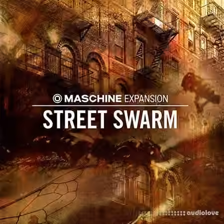 Native Instruments Maschine Expansion Street Swarm v2.0.1 [Maschine]