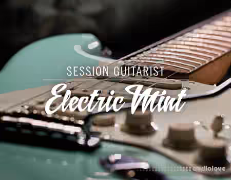 Native Instruments Session Guitarist Electric Mint v1.1 [KONTAKT]