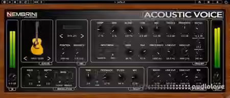 Nembrini Audio NA Acoustic Voice v1.0.1 [WiN]