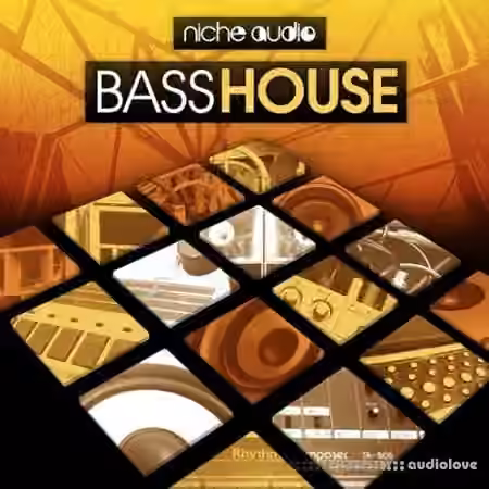 Niche Audio Bass House [Maschine]