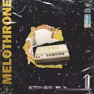Nine Audio Melothrone [WAV]