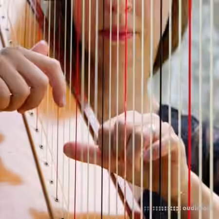 noiiz Harmonious Harps by Aur0ra [WAV]