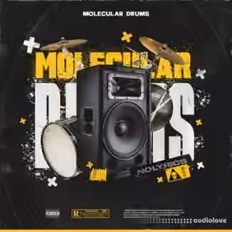 nolyrics MOLECULAR DRUMS [WAV]