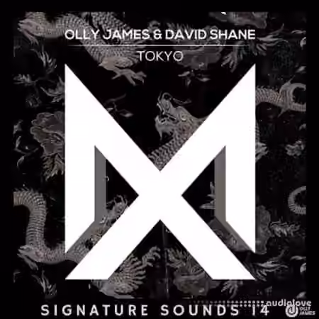 Olly James Signature Sounds Vol.14 [WAV, MiDi, Synth Presets]