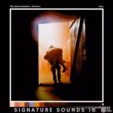 Olly James Signature Sounds Vol.15 Shutdown Movin Too Fast [WAV, MiDi, Synth Presets]