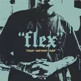 Origin Sound FLEX [WAV]