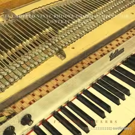 PastToFutureReverbs 88 Chopped Vinyl Rhodes Chord [KONTAKT]