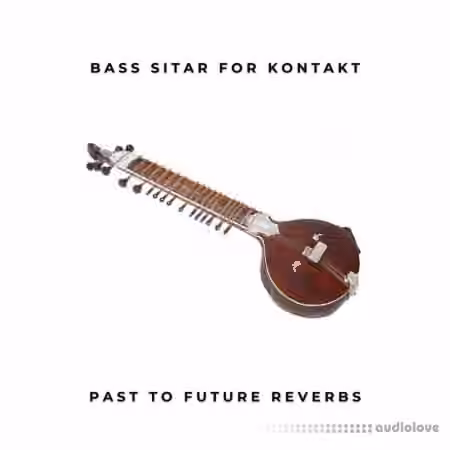 PastToFutureReverbs Electric Bass Sitar ! [KONTAKT]