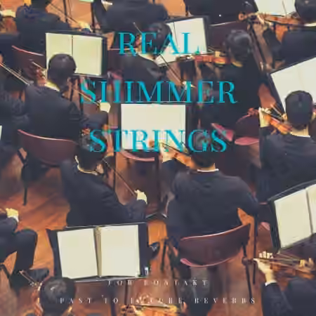 PastToFutureReverbs Real Shimmer Strings For Kontakt! [KONTAKT]