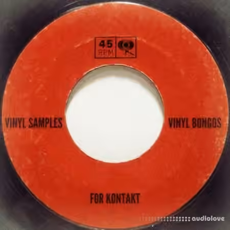 PastToFutureReverbs Vinyl Bongos [KONTAKT]