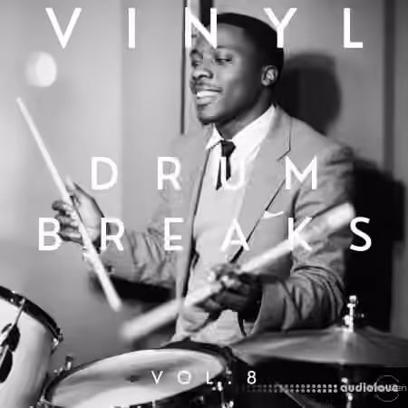 PastToFutureReverbs Vinyl Drum Breaks Vol.8 [WAV]