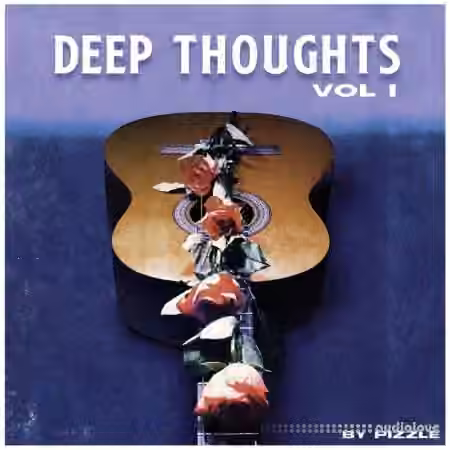 Pizzle Deep Thoughts VOL I [WAV]