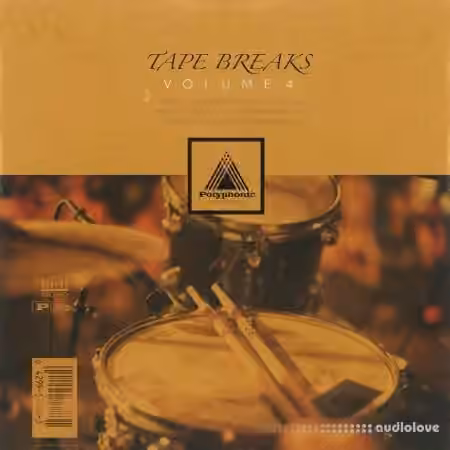 Polyphonic Music Library Tape Breaks Vol.4 [WAV]