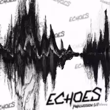 prodbyloner Echoes Percussion Kit [WAV]