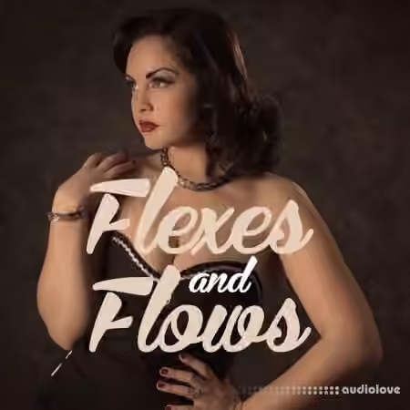 ProDrumLoops Flexes and Flows [AiFF]