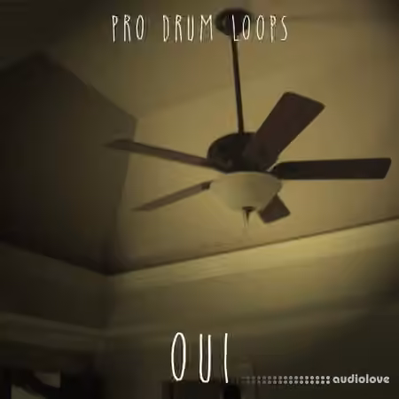 ProDrumLoops Oui [AiFF]