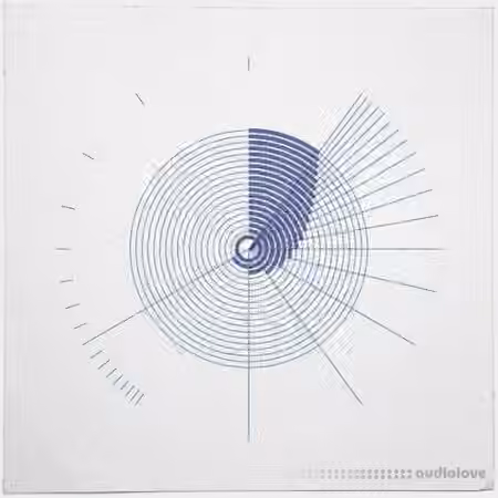 Puremagnetik Phonik [MULTiFORMAT]