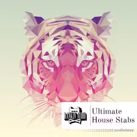 Rankin Audio Ultimate House Stabs [WAV]