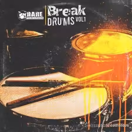 RARE Percussion Break Drums vol.1 [WAV]