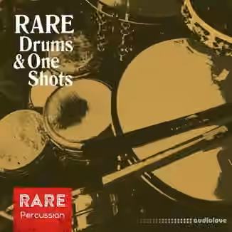 RARE Percussion Drums and One Shots [WAV]